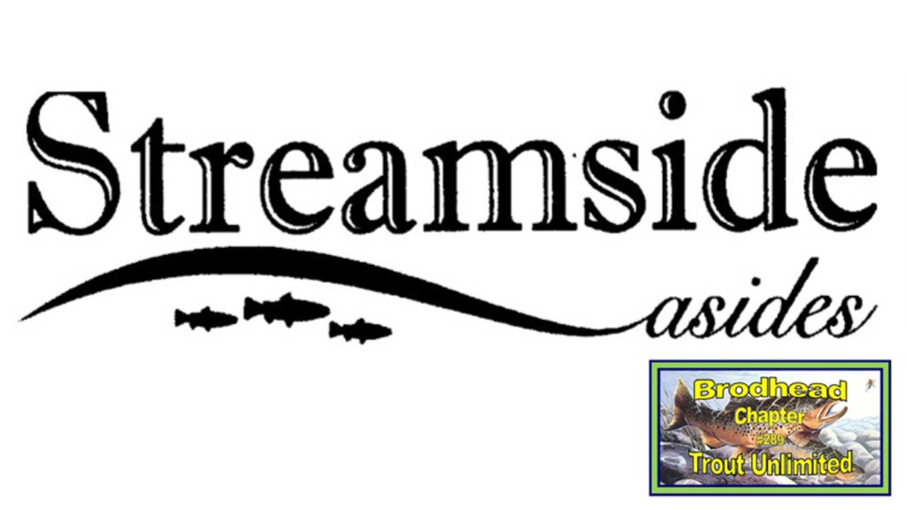 Streamside Asides Brodhead TU Chapter Newsletter logo