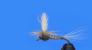 Intermediate Fly-Tying Class