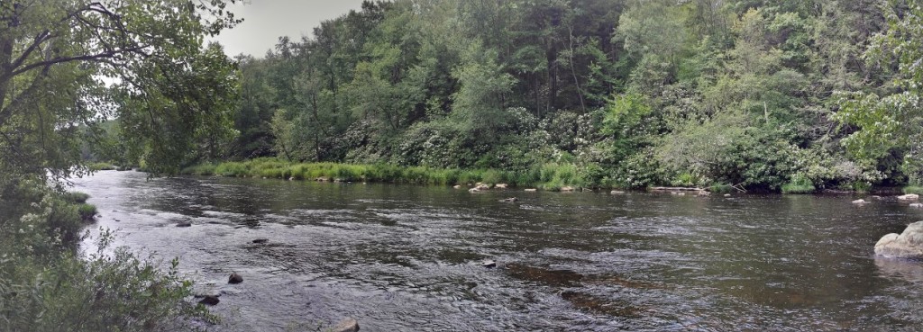 The Tobyhanna Creek in the Austin Blakeslee Natural Area. 