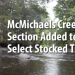 McMichaels Creek