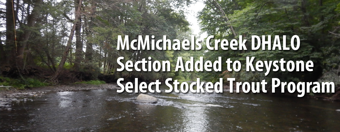 McMichael Creek DHALO Section Among Waters Added to Keystone Select Stocked Trout Program
