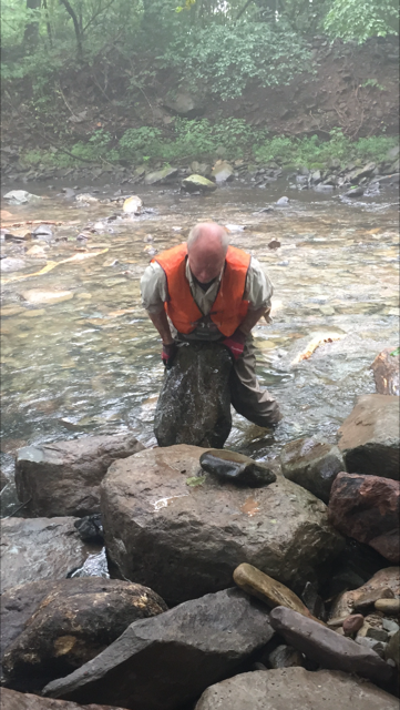 A Volunteer from the Brodhead Chapter Trout Unlimited places a boulder in the Pocono Creek in Tannersville, Pa.