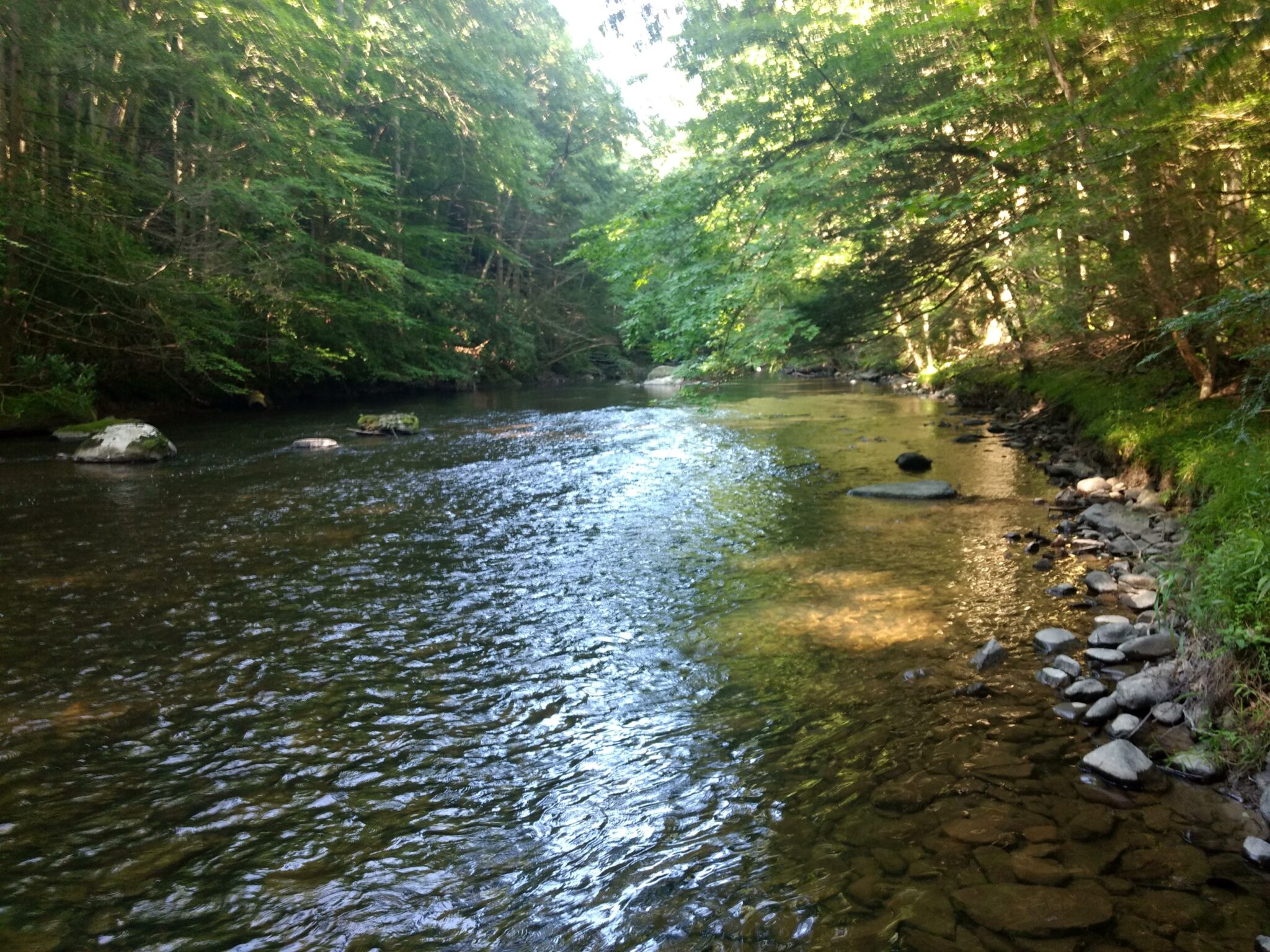 Register Now for Brodhead Chapter Trout Unlimited Virtual Meeting on