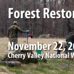 Cherry Creek Forest Restoration